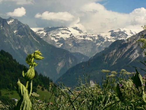 BridesGlaciersDeVanoise