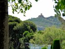 Esterel Dramont DSCN1746